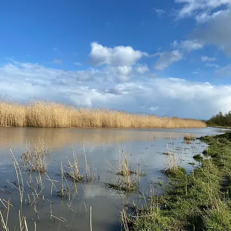 Storchennest Daire *