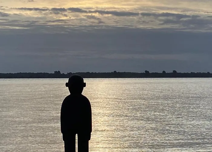 Storchennest Drochtersen