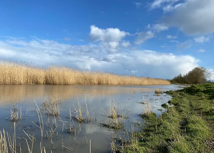 Storchennest アパート *